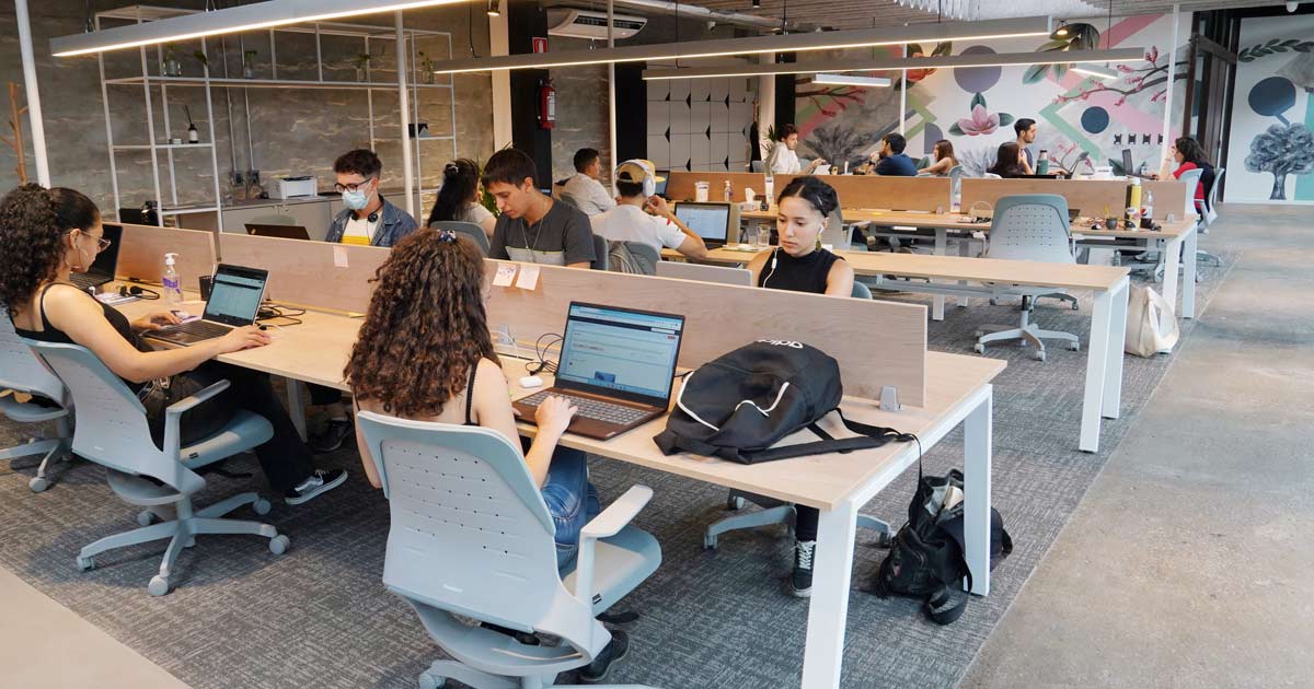 Oficinas de Arbusta
