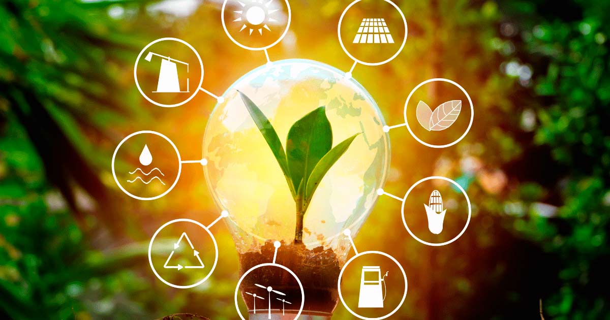 Energas renovables: lecciones para los sectores tecnolgico y de entretenimiento de Argentina y previsiones para 2025
