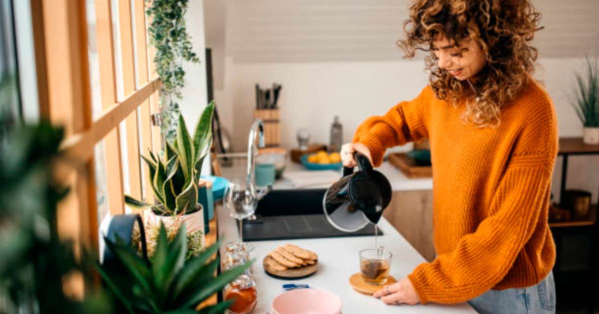 Qu tener en cuenta para comprar una pava elctrica barata y buena